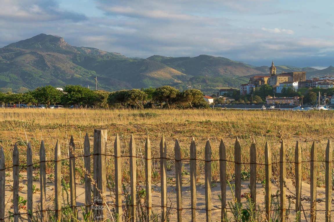 Studio Ozeano Lejlighed Hendaye Eksteriør billede